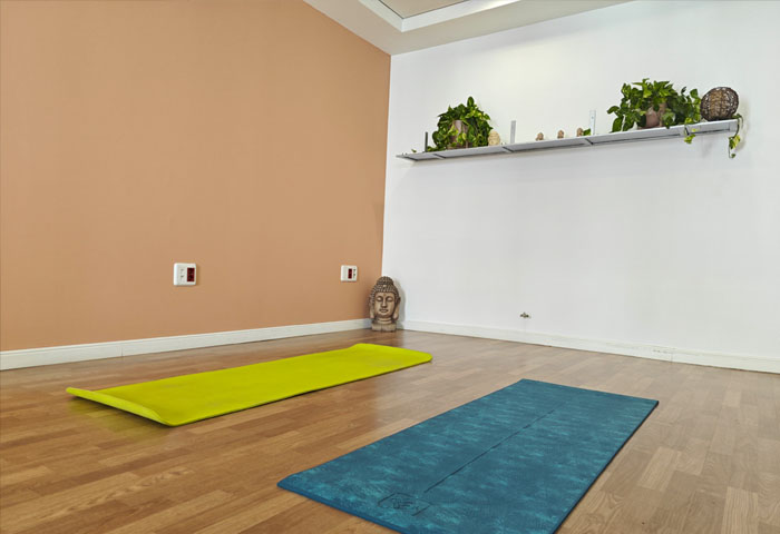 Sala Gaia
